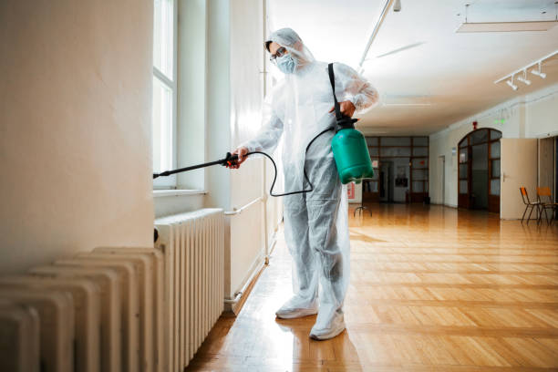 Best Termite Control Services  in Miramar, FL
